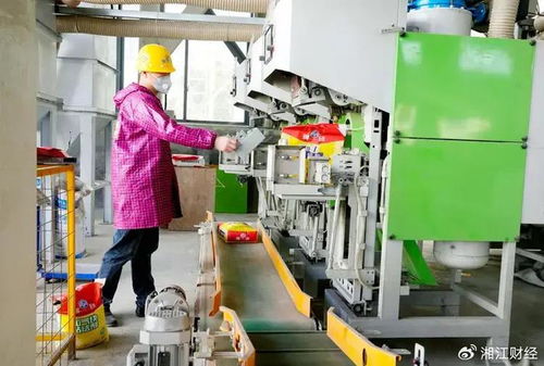 平江首屆貼磚大師技術(shù)交流會(huì)召開(kāi)，聚焦環(huán)保砂漿技術(shù)開(kāi)發(fā)與應(yīng)用